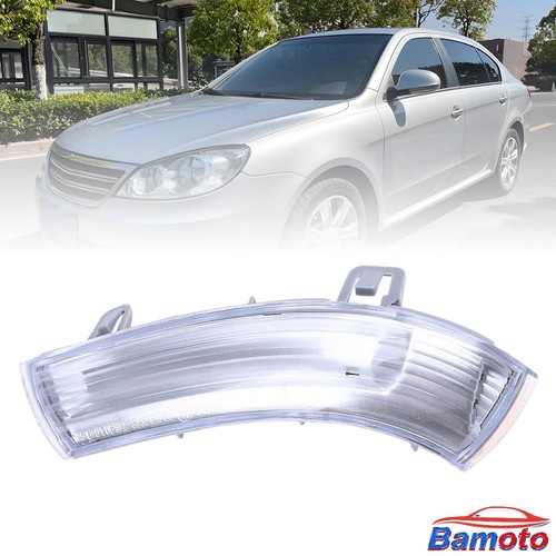 Spiegelblinker blinker links - spiegelblinker,
